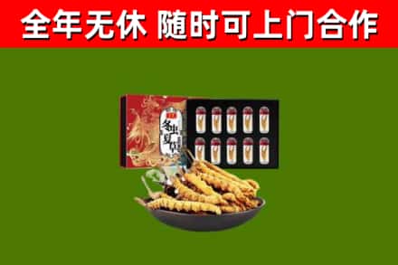 郊区烟酒回收冬虫夏草礼盒.jpg